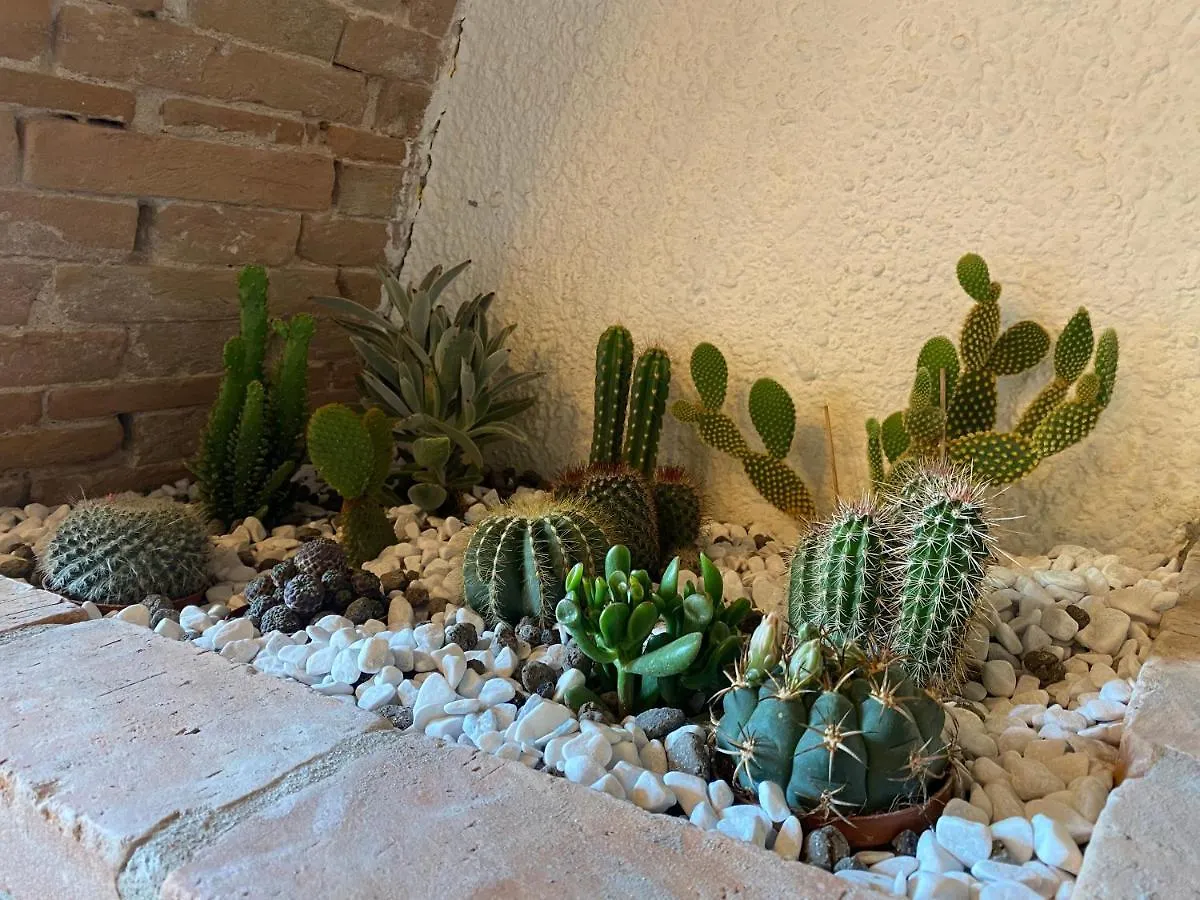 Cactus Suite Pisa İtalya