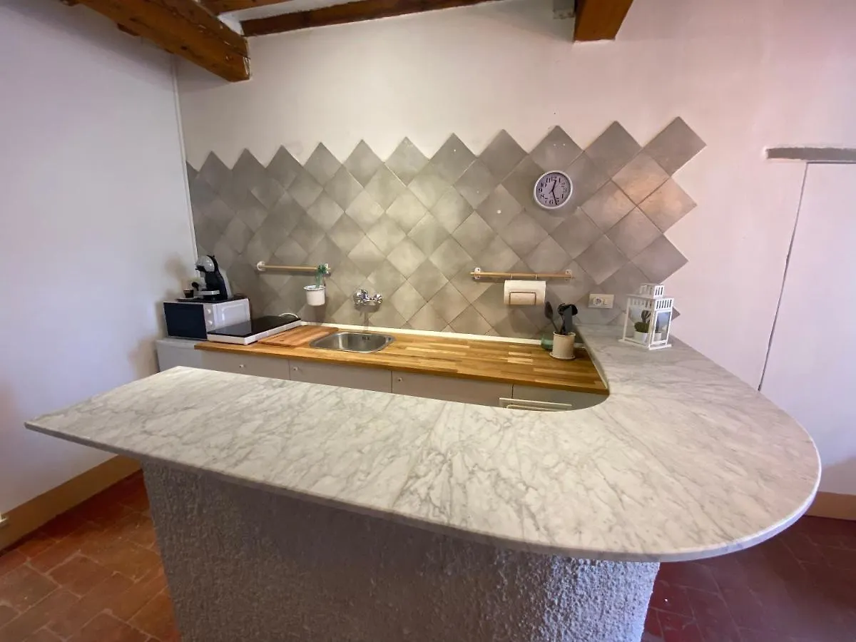 Daire Cactus Suite Pisa